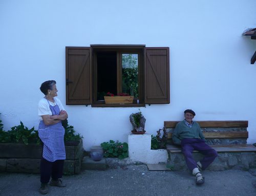 Contraventanas Antzuola